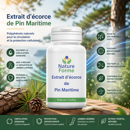 Extrait de Pin Maritime 95% OPC – Votre Antioxydant Naturel pour un Bien-être Optimal