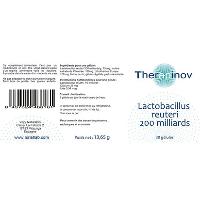 Lactobacillus Reuteri : Probiotiques & Flore Intestinale