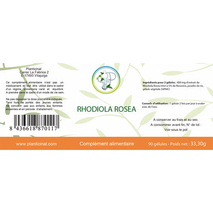 Rhodiola Rosea 5% Rosavins – Adaptogène pour l’Équilibre et la Vitalité