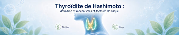Thyroïdite de Hashimoto : définition et mécanismes et facteurs de risque