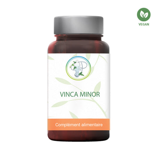 Vinca Minor – Contribue à la Circulation et au Bien-être Cérébral