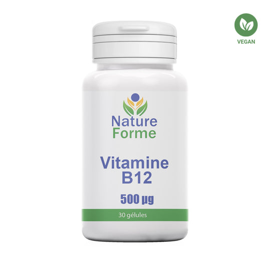 Vitamine B12 Hydroxocobalamine 500 µg